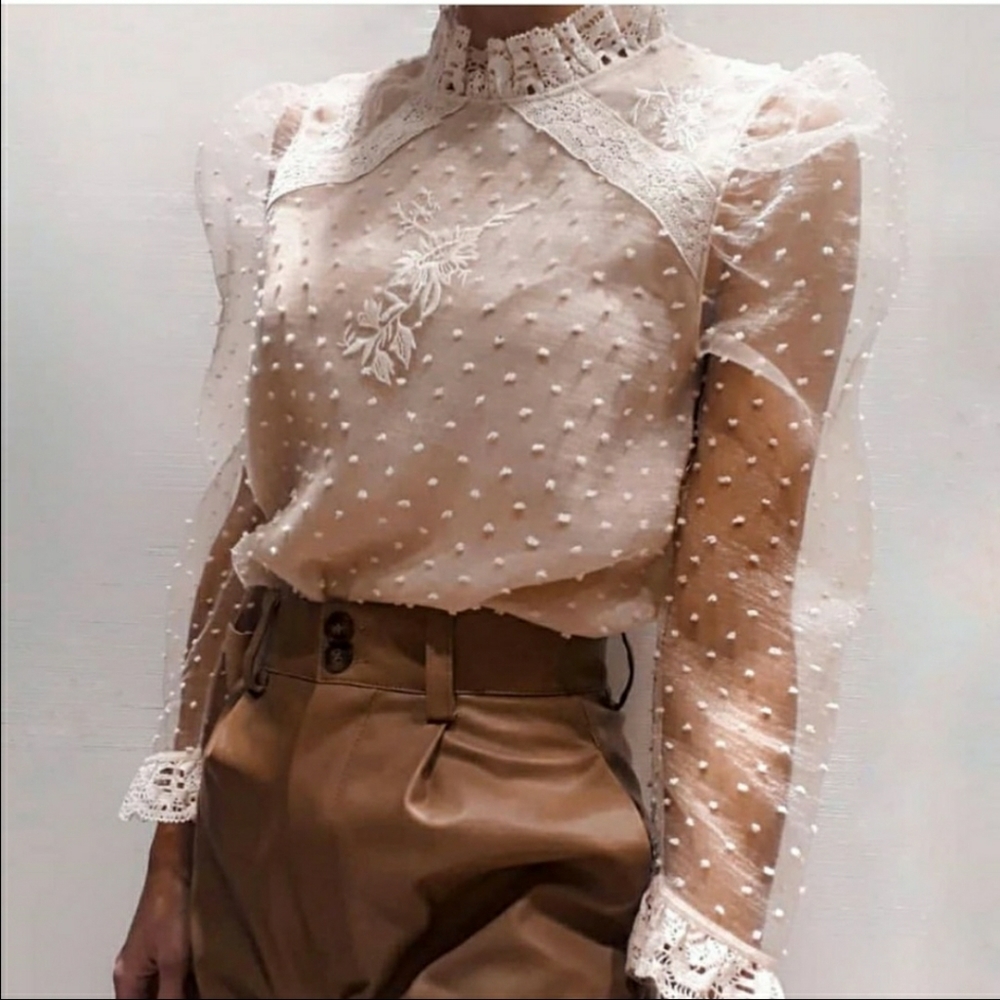 Zara embroidered Swiss dot blouse
